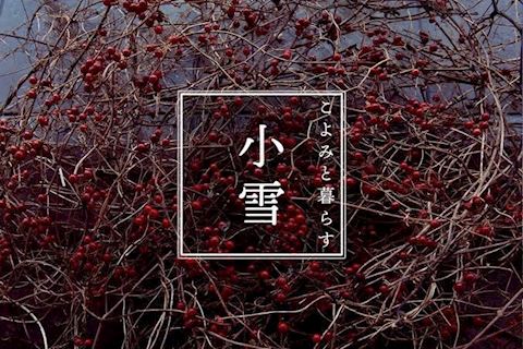こゆき【マダムコース】