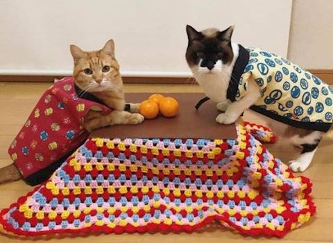 こゆき【マダムコース】