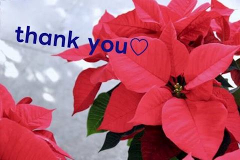 こゆき【マダムコース】