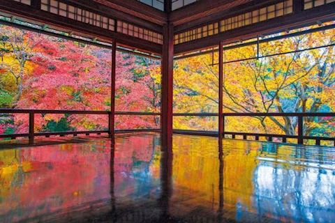 こゆき【マダムコース】