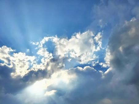 こゆき【マダムコース】