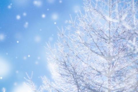 こゆき【マダムコース】