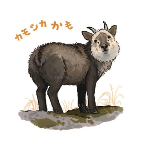 koyuki?