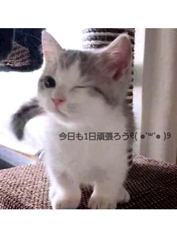 あみ【マダムコース】