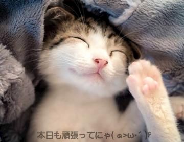 あみ【マダムコース】