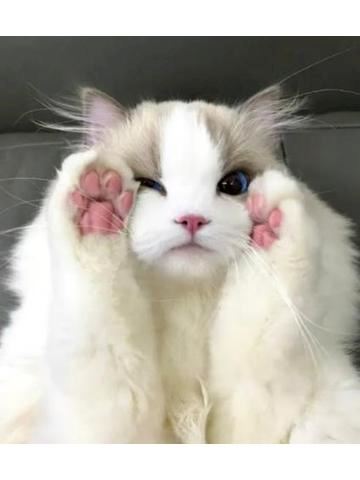 あみ【マダムコース】