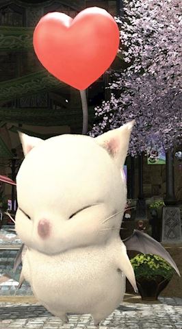 あみ【マダムコース】