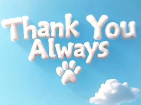 あみ【マダムコース】