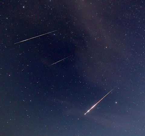 流星群? あみ【マダムコ...（35）