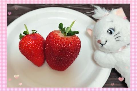 あみ【マダムコース】