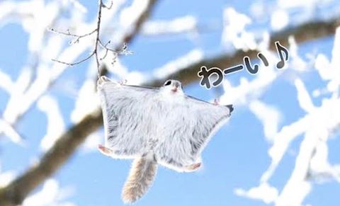 あみ【マダムコース】