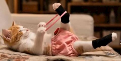 あみ【マダムコース】