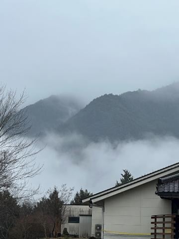 さゆき【マダムコース】