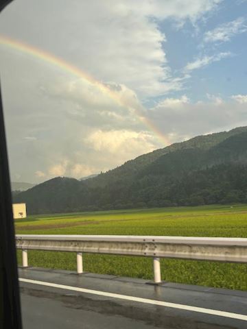 ひまわり【マダムコース】
