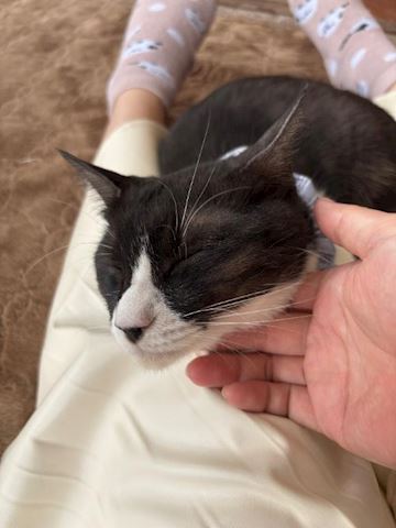 うる【マダムコース】