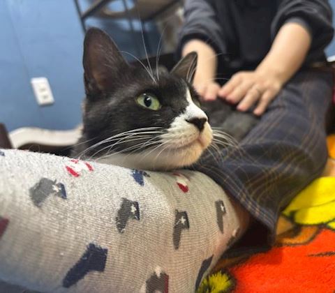 うる【マダムコース】