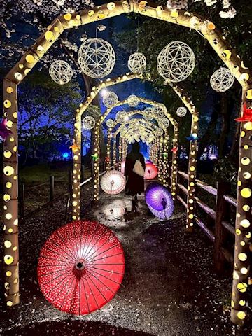 突然ですが えいみ【若妻コ...（31）