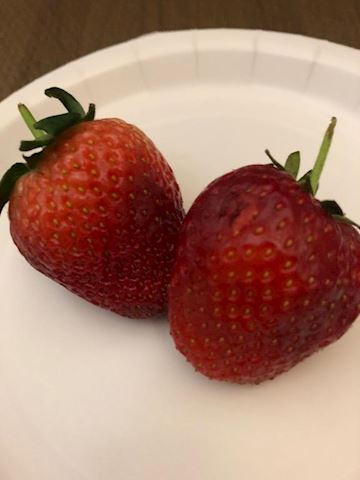 もな【熟女コース】