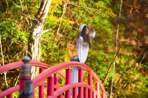 ほたる【マダムコース】