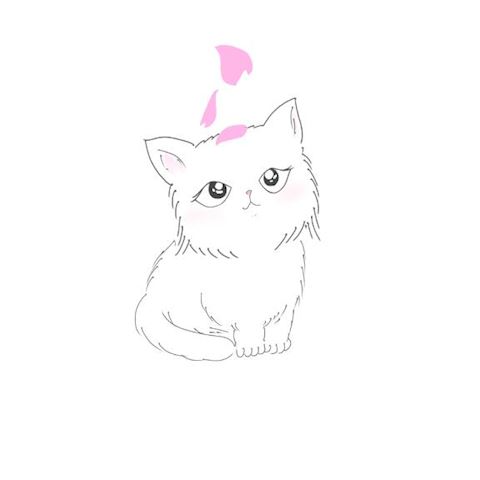 ねね【熟女コース】