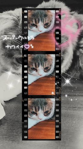 ねね【熟女コース】