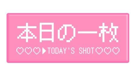 ねね【熟女コース】