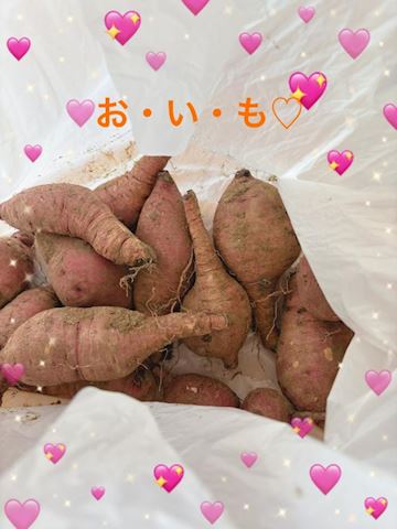 ねね【熟女コース】