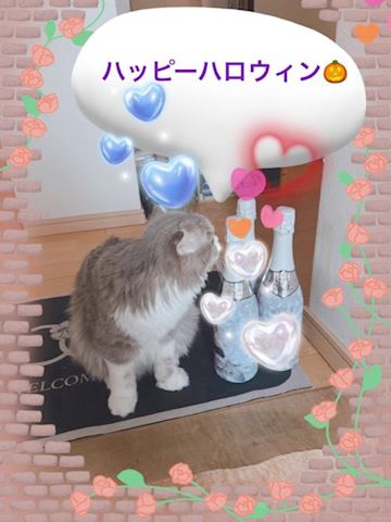 ねね【熟女コース】