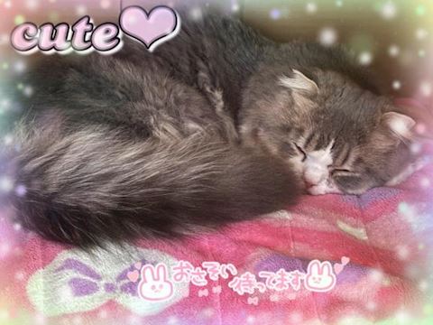 ねね【熟女コース】