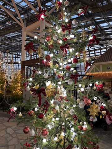 ねね【熟女コース】