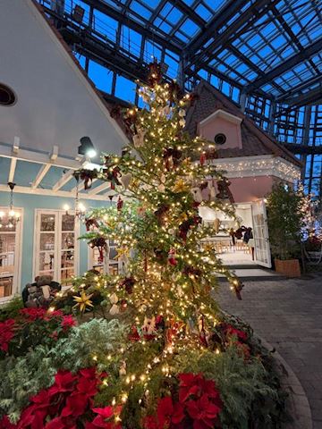 ねね【熟女コース】