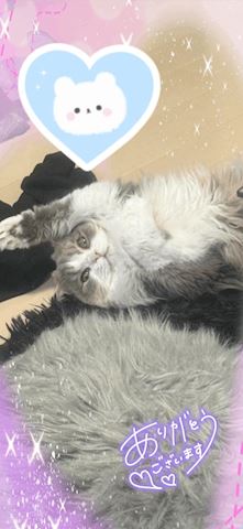 花粉か…｡ﾟ(ﾟ... ねね【熟女コース】（47）