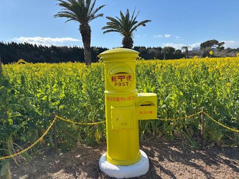 ねね【熟女コース】