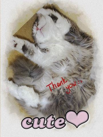 本日のお礼andこ... ねね【熟女コース】（47）