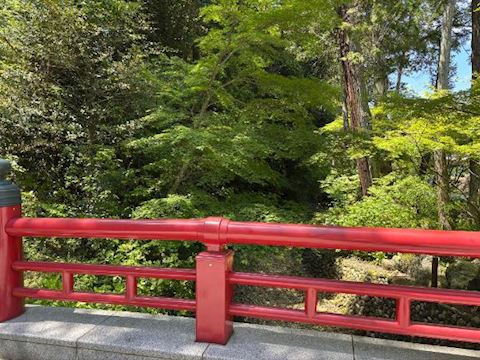 しばらくの予定です！