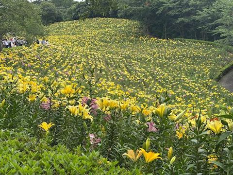 ねね【熟女コース】