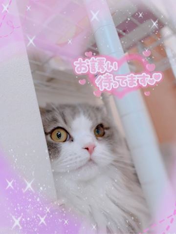 ねね【熟女コース】