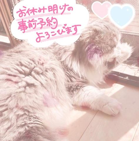 寒暖差に注意し... ねね【熟女コース】（47）