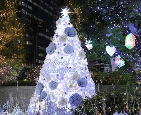 ももか【マダムコース】