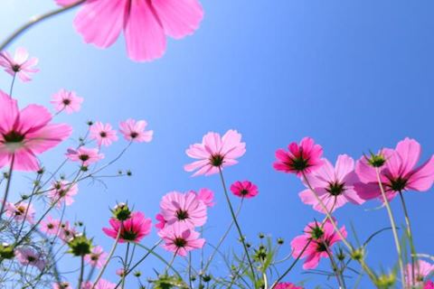 ももか【マダムコース】
