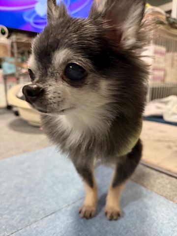 なつみ【マダムコース】