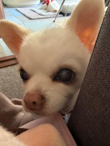 なつみ【マダムコース】