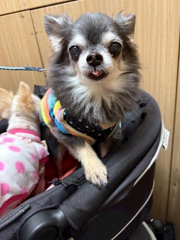 なつみ【マダムコース】