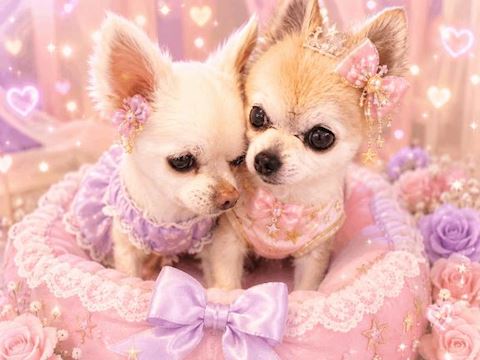 なつみ【マダムコース】