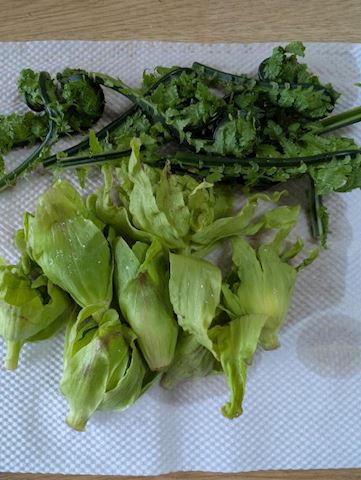 みみ【プレミアコース】