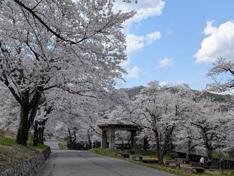 みみ【プレミアコース】