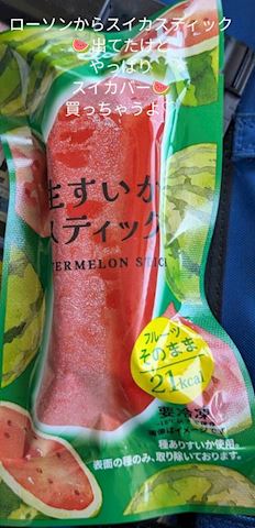 みみ【プレミアコース】