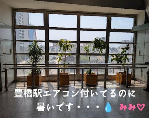 みみ【プレミアコース】
