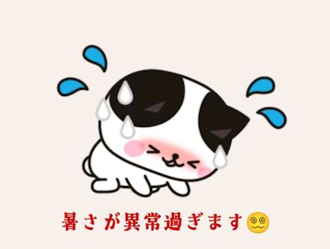 みみ【プレミアコース】