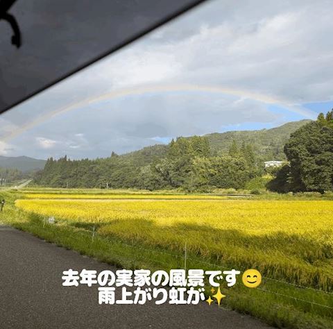 ?? みみ【プレミア...（36）